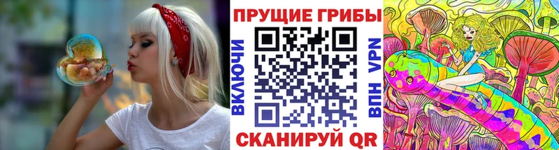 даркнет сайт Узловая Галлюциногенные грибы мицелий